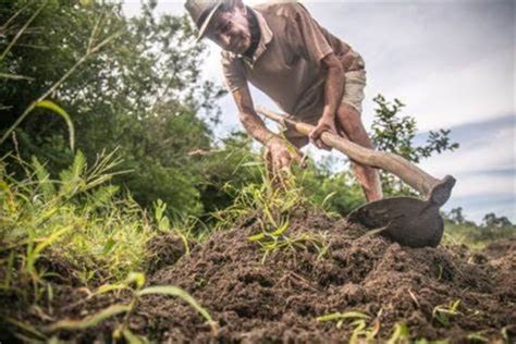 Porovnanie textúry piesčitej, hlinité a ílovitej pôdy.