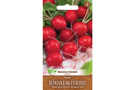 Detail sadenia semienok reďkovky do pripravených jamiek v obale od vajec.