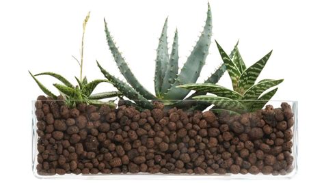 ilustrácia hydroponického systému s rastlinou v keramzite a hladinomerom