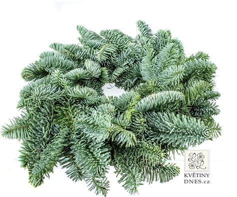 vetvičky jedle vznešenej (nobilis) s detailom ihličia