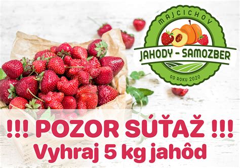 ilustračná fotografia čerstvo nazbieraných jahôd