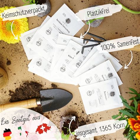 Dizajnérska poznámka: Infografika zobrazujúca kroky prípravy pôdy a výsevu semien lúčnych kvetov.