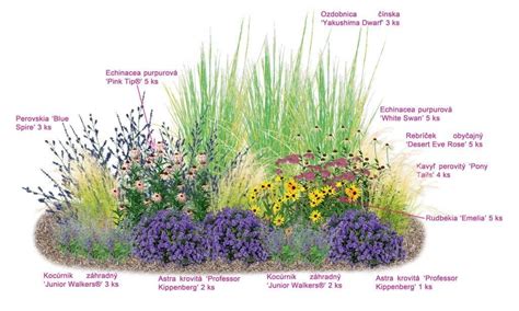 Dizajnérska poznámka: Obrázok záhrady kombinujúcej tradičný trávnik s kvitnúcou lúkou.