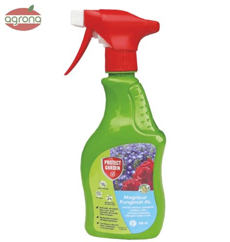 Fungicídny postrek na listy paradajok proti plesniam