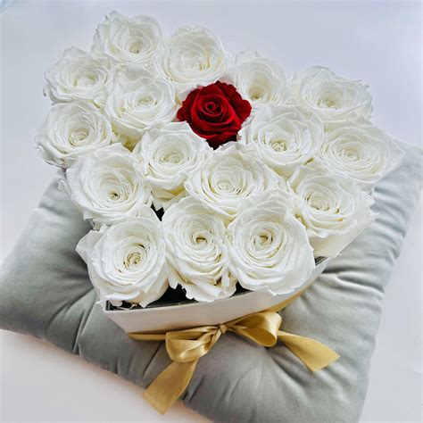 Ilustračná fotografia kvetov srdcovky v tvare srdca