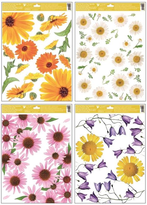 Rôzne druhy srdcovky s charakteristickými kvetmi