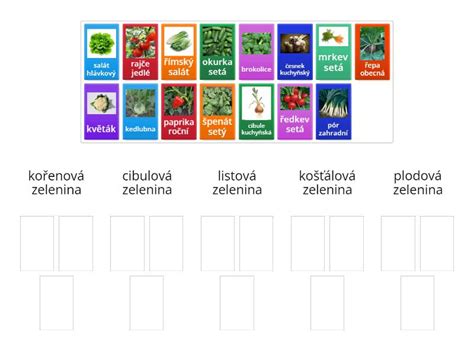 Ilustrácia znázorňujúca rôzne druhy zeleniny zasadené vedľa seba s naznačenými prospešnými a škodlivými vzťahmi.