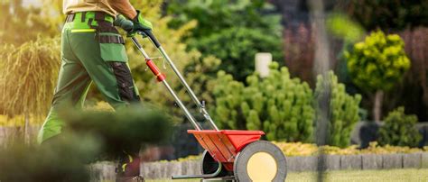 Ilustračná fotografia zdravého, sviežeho trávnika v záhrade.