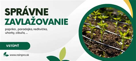 Infografika znázorňujúca správne zavlažovanie trávnika.