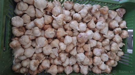 Infografika znázorňujúca vhodnú a nevhodnú predplodinu pre cesnak