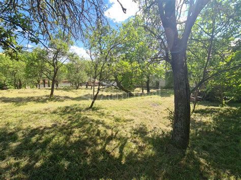 Fotografia exteriéru Záhradníctva Kozový s rôznymi rastlinami a stromami