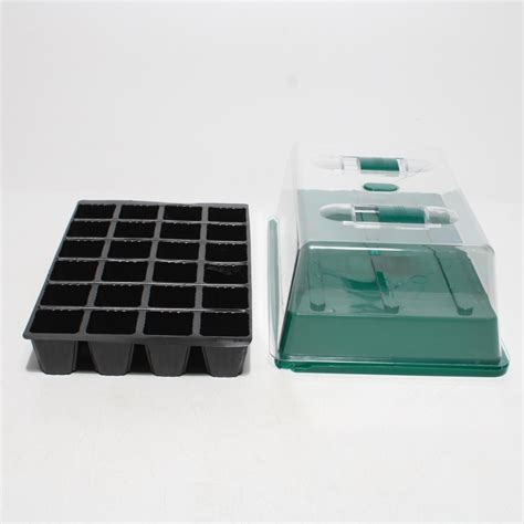 Mladé odrezky vavrínu v priehľadnom mini-skleníku