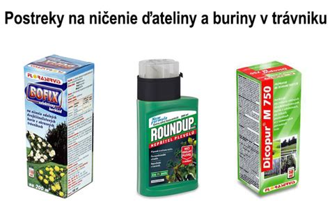 Príklady burín v trávniku a ich ničenie