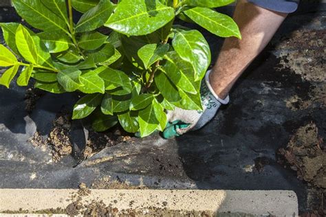 Ilustračná fotografia vreca so záhradníckym substrátom AGRO