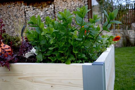 Ilustrácia rôznych typov vyvýšených záhonov v záhradnom prostredí