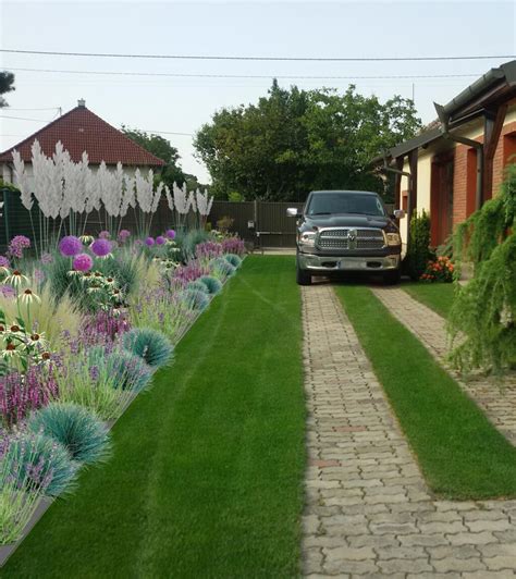 záhon s cviklou v záhrade