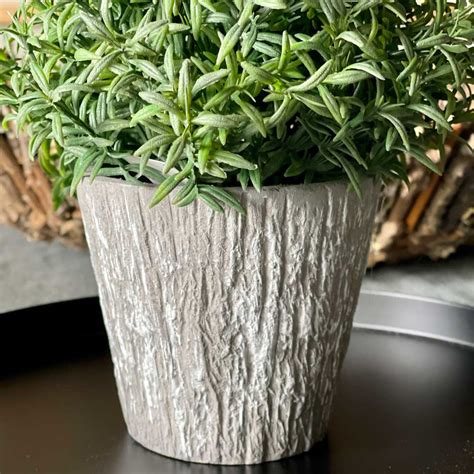 Ilustrácia jazmínu hviezdicového v črepníku s bielymi kvetmi