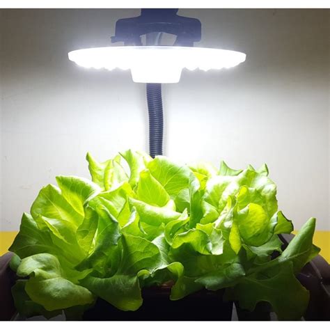 Ilustračná fotografia rôznych LED grow žiaroviek a rastlín v interiéri