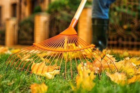 Infografika znázorňujúca jesenné aktivity na trávniku ako prevenciu proti plesni snežnej: hrabanie lístia, hnojenie draslíkom, vertikutácia.