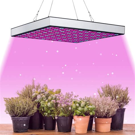 rastová LED lampa nad rastlinami chilli