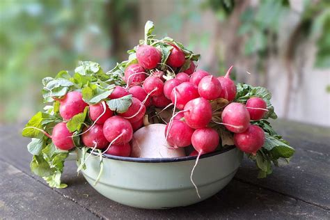 Ukážka rôznych typov nádob vhodných na pestovanie redkovky na balkóne
