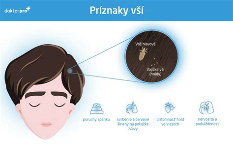 Ilustrácia vyčesávania vší hustým hrebeňom