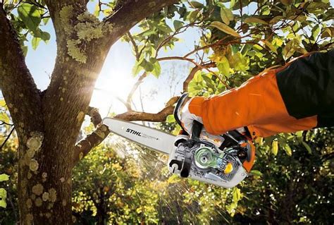 Ilustračná fotografia záhradného drviča STIHL v akcii, spracúvajúceho konáre.