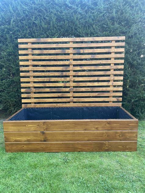 záhon so špenátom v polotieni