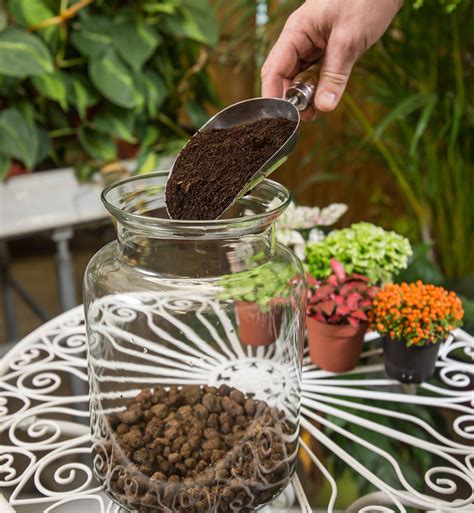 Príprava nádoby pre pestovanie machu s vrstvami kamienkov, uhlia a substrátu