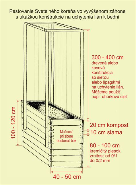 Detailná schéma debny na pestovanie svetelného koreňa s vrstvami piesku, slamy a kompostu