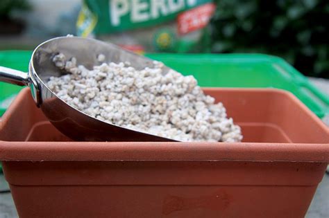 Výsevné misky s perlitom a označenými výsevmi