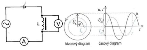 Grafické znázornenie rozdielu medzi mužmi s vysokou a nízkou hladinou testosterónu