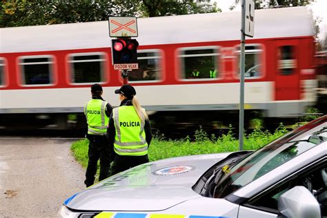 Ilustračné foto rôznych odrôd hrozna