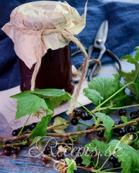 koláž rôznych odrôd čiernych ríbezlí