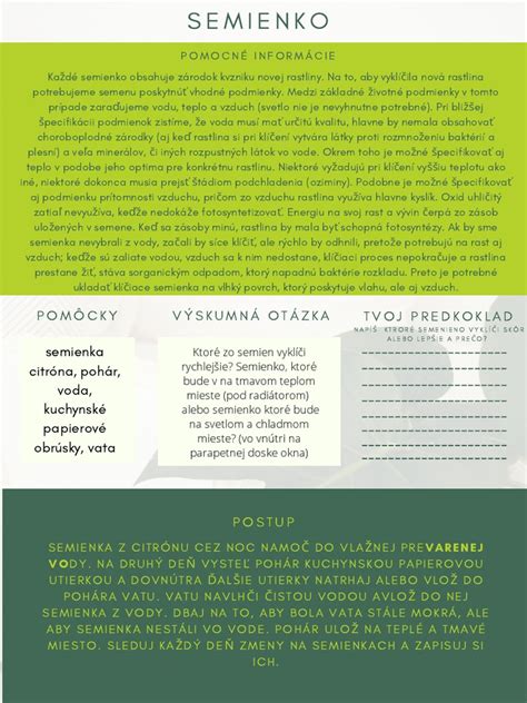 Klíčiace semienko mandarínky v črepníku