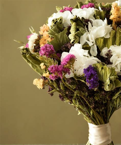 detail kvetov Fizostégie virgínskej ‘Alba’