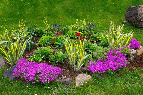 záhon s jarnými trvalkami