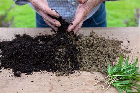 Štruktúra rašelinníka a jeho použitie pri zakoreňovaní odrezkov.