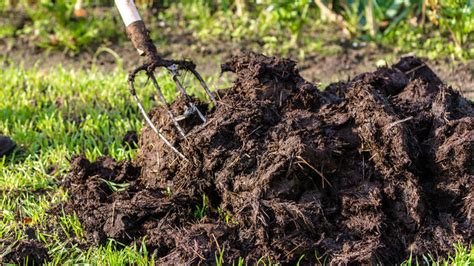 kompost a hnojivo pripravené na zapracovanie do pôdy