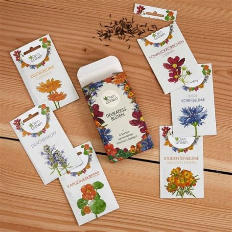 Ilustrácia rôznych druhov jedlých kvetov, vrátane ruží, púpav a nechtíkov.