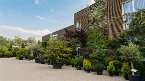 panoramatický záber záhradného centra