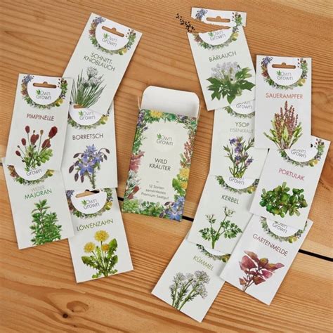 Ilustrácia rôznych druhov lúčnych kvetov a bylín, ktoré môžu byť súčasťou záhradnej lúky.