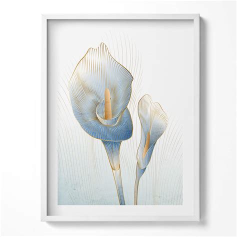 Ilustrácia rôznych druhov kvetov magnólie s ich farebnou škálou a tvarmi.