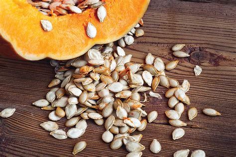 Ilustrácia semien tekvice Hokkaido pripravených na výsev.