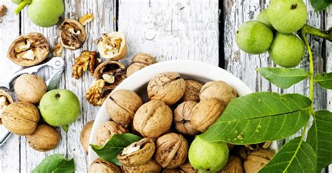 Koláž fotografií plodov rôznych odrôd orecha kráľovského