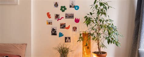 Koláž fotografií rôznych druhov listov eukalyptu