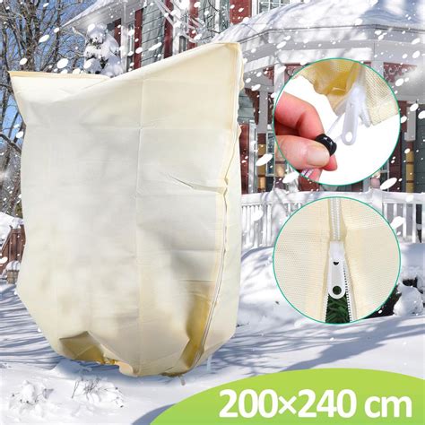 Zimná ochrana mladého stromčeka eukalyptu