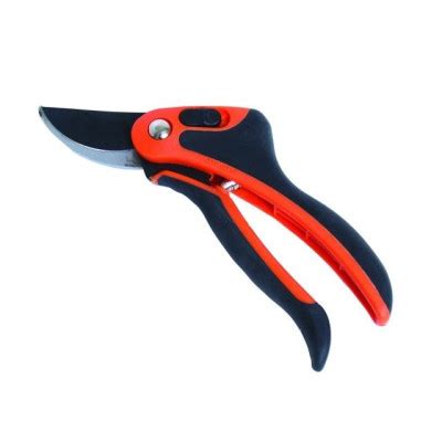 Záhradník používa ostré záhradnícke nožnice na strihanie ruží.