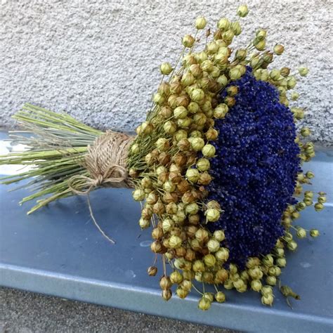 Kytice sušiacej sa levandule zavesené hore nohami