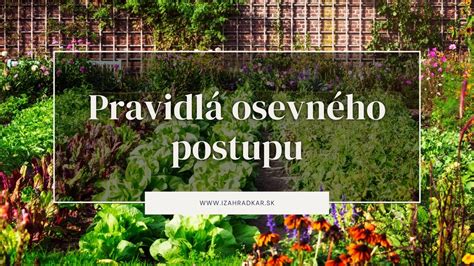 Ilustračná schéma osevného postupu zeleniny